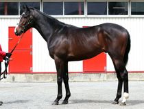 ����å��ǳ��������ɽ�����ޤ�