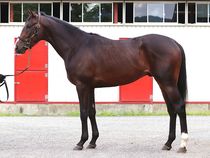 ����å��ǳ��������ɽ�����ޤ�