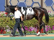 ����å��ǳ��������ɽ�����ޤ�