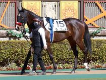 ����å��ǳ��������ɽ�����ޤ�