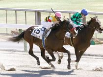 ����å��ǳ��������ɽ�����ޤ�