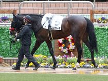 ����å��ǳ��������ɽ�����ޤ�