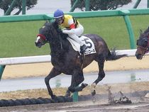 ����å��ǳ��������ɽ�����ޤ�