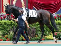 ����å��ǳ��������ɽ�����ޤ�