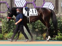 ����å��ǳ��������ɽ�����ޤ�