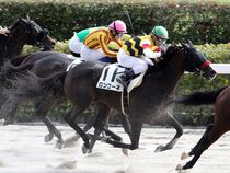 ����å��ǳ��������ɽ�����ޤ�