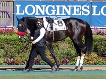 ����å��ǳ��������ɽ�����ޤ�