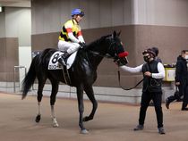 ����å��ǳ��������ɽ�����ޤ�