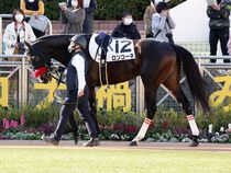 ����å��ǳ��������ɽ�����ޤ�