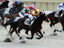 ����å��ǳ��������ɽ�����ޤ�