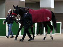 ����å��ǳ��������ɽ�����ޤ�