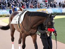 ����å��ǳ��������ɽ�����ޤ�