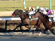 ����å��ǳ��������ɽ�����ޤ�