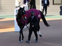 ����å��ǳ��������ɽ�����ޤ�