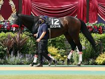 ����å��ǳ��������ɽ�����ޤ�