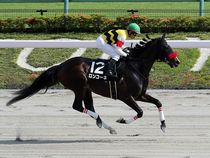 ����å��ǳ��������ɽ�����ޤ�