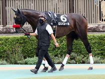 ����å��ǳ��������ɽ�����ޤ�