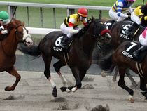 ����å��ǳ��������ɽ�����ޤ�