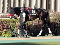 ����å��ǳ��������ɽ�����ޤ�