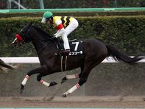 ����å��ǳ��������ɽ�����ޤ�