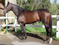 ����å��ǳ��������ɽ�����ޤ�