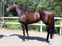 ����å��ǳ��������ɽ�����ޤ�