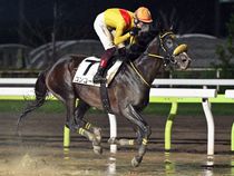 ����å��ǳ��������ɽ�����ޤ�