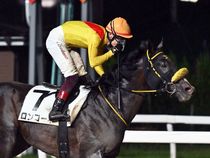 ����å��ǳ��������ɽ�����ޤ�