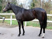 ����å��ǳ��������ɽ�����ޤ�