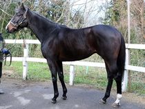 ����å��ǳ��������ɽ�����ޤ�