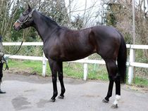 ����å��ǳ��������ɽ�����ޤ�