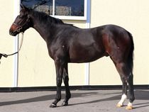 ����å��ǳ��������ɽ�����ޤ�