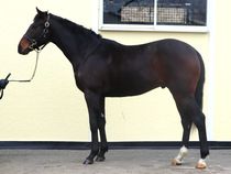 ����å��ǳ��������ɽ�����ޤ�