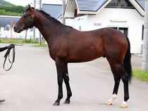 ����å��ǳ��������ɽ�����ޤ�