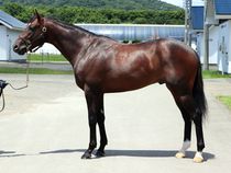 ����å��ǳ��������ɽ�����ޤ�