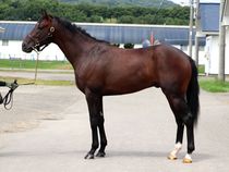 ����å��ǳ��������ɽ�����ޤ�