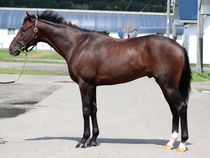 ����å��ǳ��������ɽ�����ޤ�