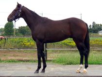 ����å��ǳ��������ɽ�����ޤ�