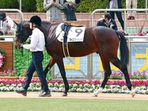 ����å��ǳ��������ɽ�����ޤ�