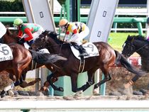 ����å��ǳ��������ɽ�����ޤ�