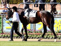 ����å��ǳ��������ɽ�����ޤ�