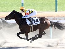 ����å��ǳ��������ɽ�����ޤ�