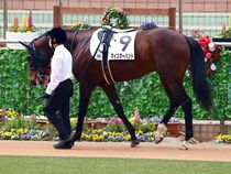 ����å��ǳ��������ɽ�����ޤ�