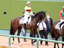 ����å��ǳ��������ɽ�����ޤ�