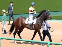 ����å��ǳ��������ɽ�����ޤ�