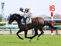 ����å��ǳ��������ɽ�����ޤ�