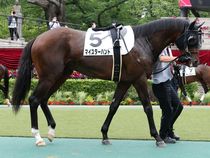 ����å��ǳ��������ɽ�����ޤ�