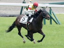 ����å��ǳ��������ɽ�����ޤ�