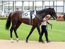 ����å��ǳ��������ɽ�����ޤ�