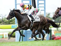 ����å��ǳ��������ɽ�����ޤ�